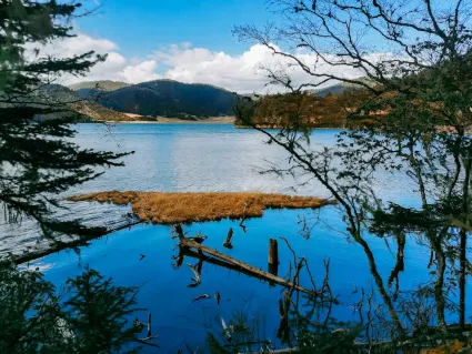 77스핀스 카지노 모바일 앱